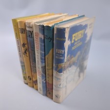 Fury Schwarzer Hengst