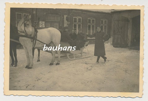 Foto pferdegespann mit - pferdegespann,