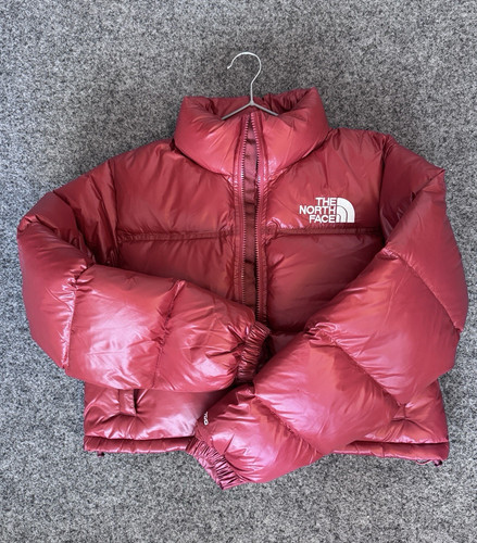 The north face 700 daunenjacke - the,