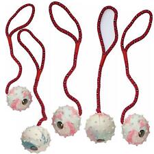 5er set nanook Hundespielzeug Wurfschleuder  Hund Schleuderball Ballschleuder