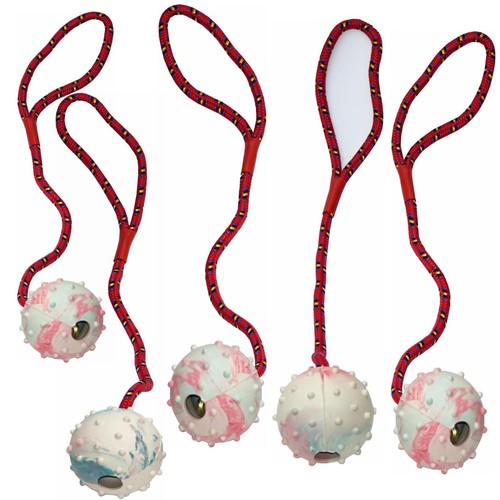 5er set nanook - , hundespielzeug