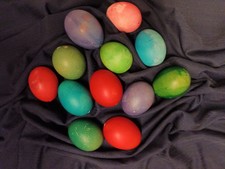 12 farbige ausgeblasene Eier Hühnereier Ostereier  Deko