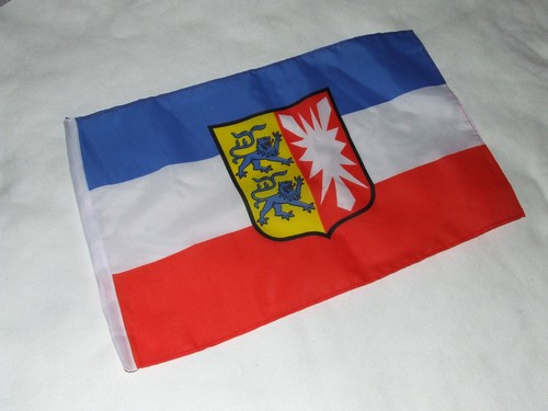 Schleswig holstein flagge - schleswig,
