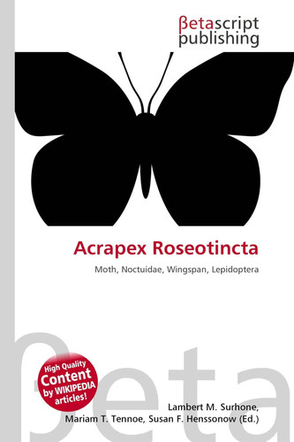 Acrapex roseotincta moth - acrapex,