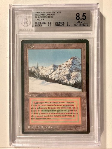 Taiga mtg magic ita - foreign, nm