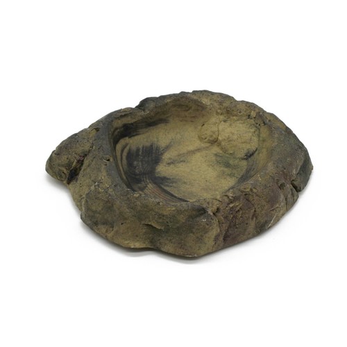 Terrarium reptilien schale - terrarium,
