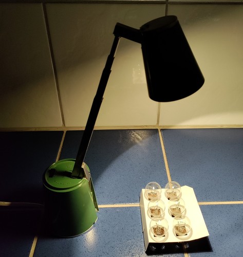 Alte lampe schreibtisch - alte,