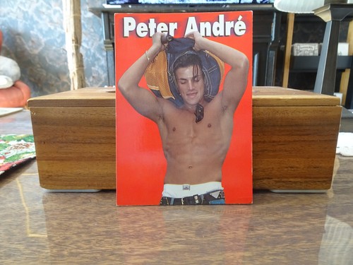 Peter andre postkarte - andre, ++