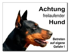 Dobermann-Hund-Aluminium-Schil