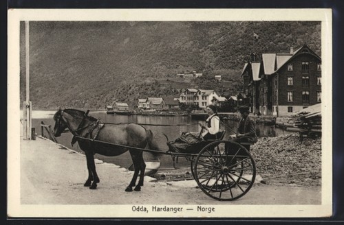 Odda hardanger pferdekutsche - odda,, hardanger,