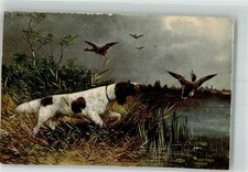 39913282 - Flugenten Seerosen