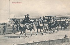Historische Postkarte Camel