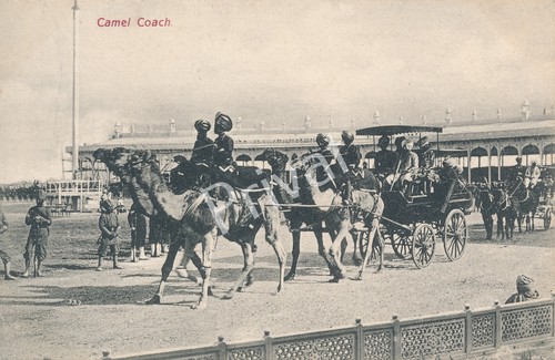 Historische postkarte camel - historische,