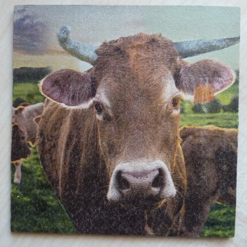 Deko hdf tiere kühe kuh - hdf,