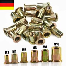 Stahl Verzinkt Nietmutter Sortiment Gewindenieten + Einnietmuttern Flachkopf Set
