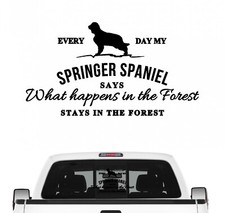 Springer spaniel vintage - spaniel,