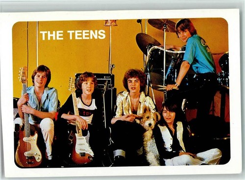 The teens musikgruppe - the,