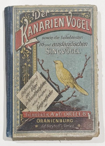Kanarienvogel ornithologie - kanarienvogel, /