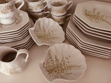 Gallo Leonardo Fougere Porzellan Sommerfarn Kaffee-u. Ess-Service
