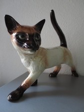 Tolle große Katze Siam