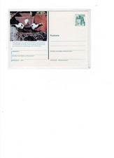 Alte bildpostkarte aus saulgau - alte,
