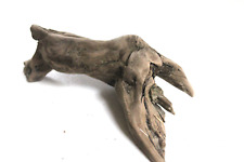 Schwemmholz Treibholz Skulptur