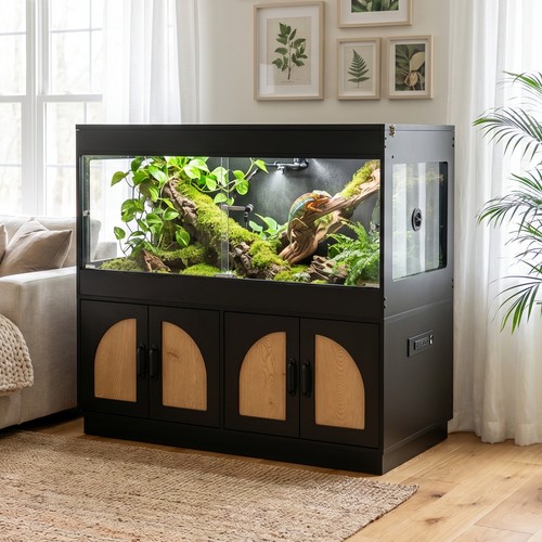 Reptile terrarium - reptile,