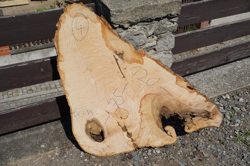 Baumscheibe holzscheibe groß - holzscheibe,