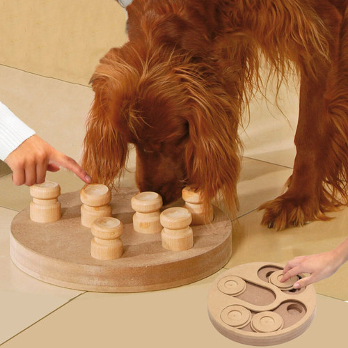 Doggy brain train - train,