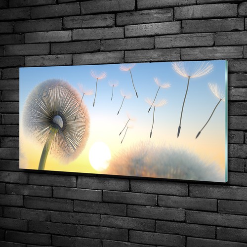 Glas bild wandbilder druck - glas-bild,