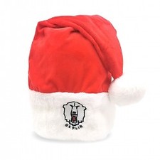 Eisbären berlin - eisbären,