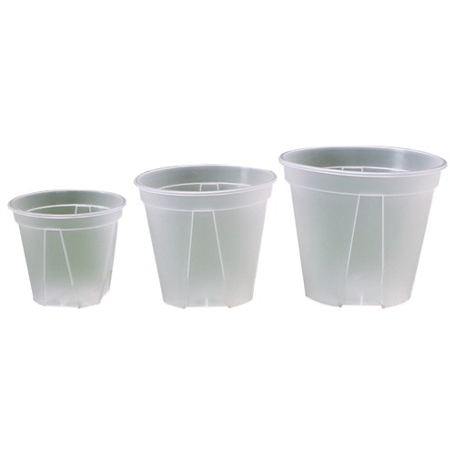 Pretty transparent plant pot - plant,