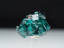 Dioptas, Kaokovields, Namibia