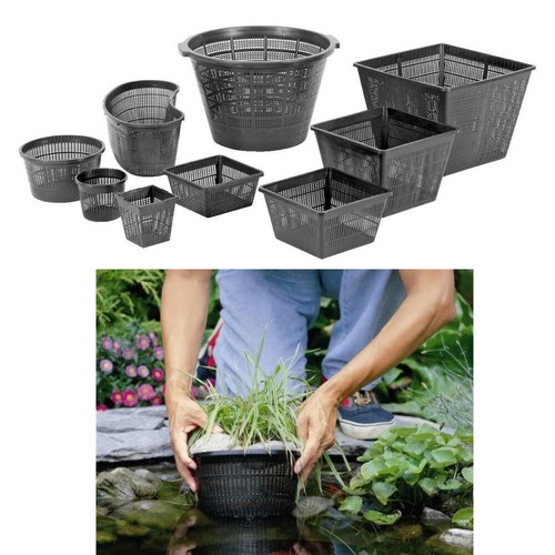 Wasserpflanzenkorb pflanzkorb - wasserpflanzenkorb,