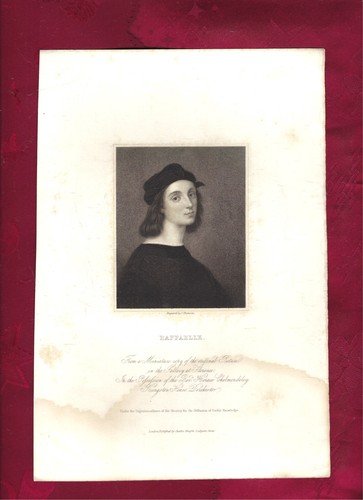 Raffael urbino - urbino,