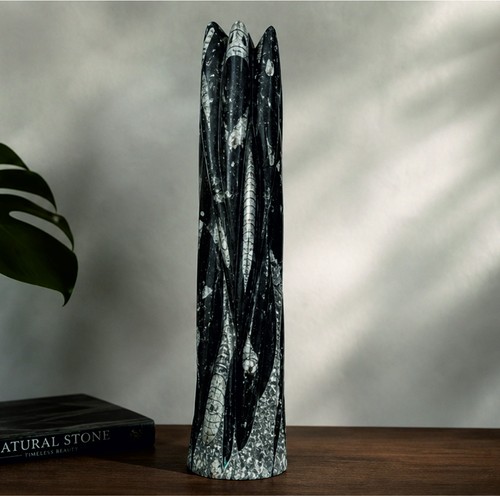 Orthoceras fossil skulptur - orthoceras,