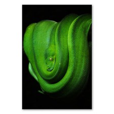 Postereck 2651 Poster Leinwand