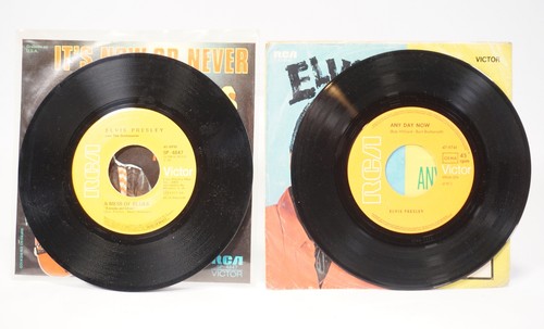 Elvis presley now or - it's,