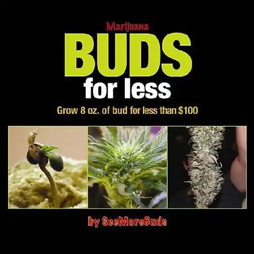 Marijuana buds for - marijuana,