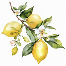 Wandbild Zitronen Blütenzweig
