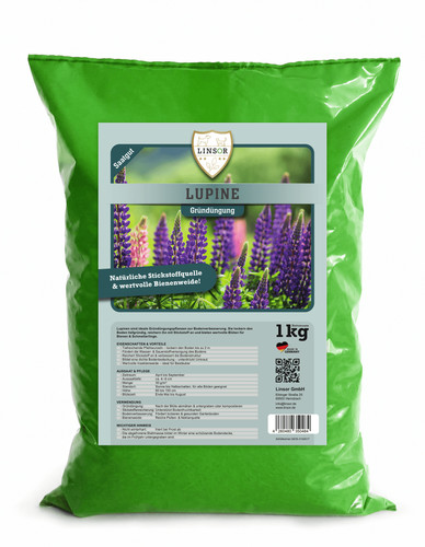 Linsor lupine samen - linsor,