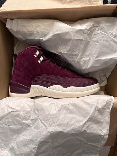 Nike air jordan retro - jordan, 12