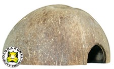 Dragon Kokosnuss Schale Small