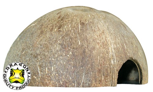 Dragon kokosnuss schale medium - dragon,