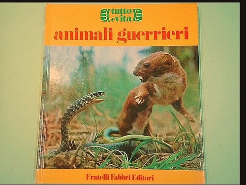 Animali guerrieri tutto - guerrieri,