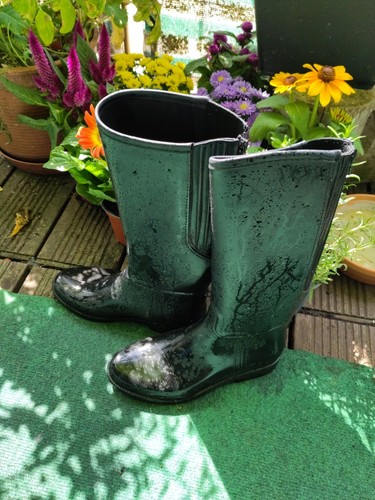 Steeds reitstiefel größe 35 - steeds, reitstiefel,