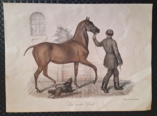 Farblithographie 1850 das - 1850,,