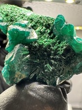 Premium Dioptas - Malachit -