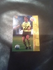 Borussia Dortmund Steffen