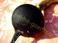 RETTICH SCHWARZER WINTER